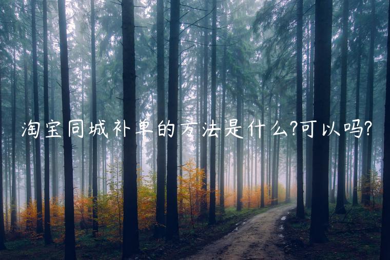 淘寶同城補(bǔ)單的方法是什么?可以嗎?